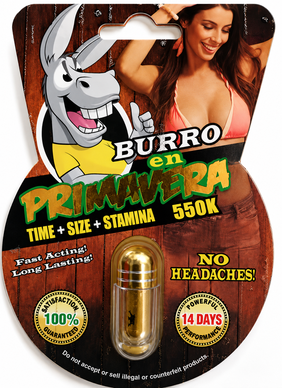 Burro En Primavera 550k